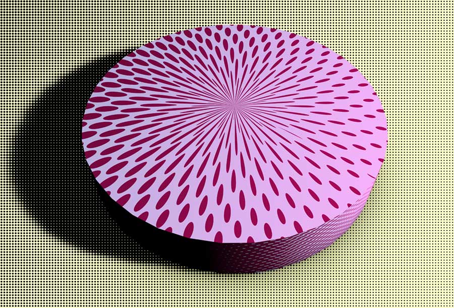 Printed Puck, 2005