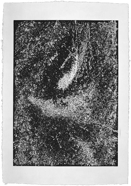 Nebula One, 1983